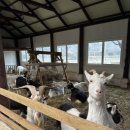 어울림목장 이미지