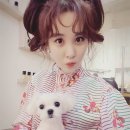 서현사료