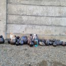 캠핑고래 군산점 이미지