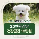 안심동물병원 | 철산안심동물병원 건강검진 &amp; 스케일링 후기 (내돈내산)