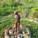 흥덕농장 이미지