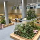 노원구청사 이미지