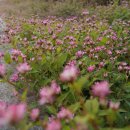 가화마을회관 이미지