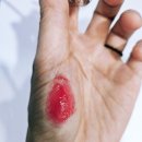 [디올]어딕트 립 맥시마이저 022인텐스레드 사용후기