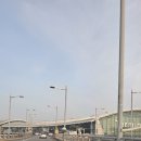 유일비전동물병원[출장진료전문] | 광주콜밴 인천공항 28개월 쌍둥이 아이들과 첫 해외여행 꿀팁