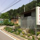 원당민박 이미지