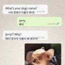 제리스토리 이미지