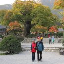 싱싱젓갈수산 이미지
