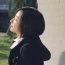 멍멍냥냥 - 부천시 소사구 경인로134번길 52 | 멍멍냥냥
