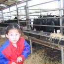 염소우리 이미지