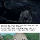 대락도 네이버블로그