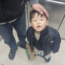 호야목장 | [육아기록]첫영어 잉글리시에그 |생일파티 새해맞이 |뽀로로테마파크|연보람목장