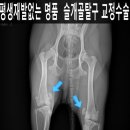 쥬만지동물의료센터 이미지