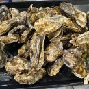 오토오아시스 정림점 이미지