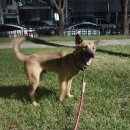 두번째산책 이미지