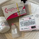 엘르메디여성의원 이미지