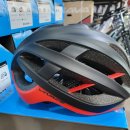 비바체(Vivace) 이미지