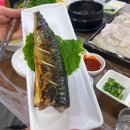 백김치새싹막회본점 이미지