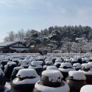 청라큰사랑약국 | [공지] [청라 큰사랑약국] 25년 설연휴 09:00~18:30 모두 열려있습니다