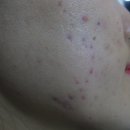 강남리유한의원 이미지