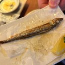 갓텐스시강남점 | [강남역 회전초밥 맛집] 최애스시집! 갓덴스시 강남점 (주말 방문 후기)💕