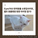 Wiz-Pet 동물병원 | Cym702 반려동물 소변검사키트로 동물병원 방문 타이밍 잡기!