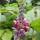 시청북로 이미지