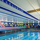 아레나 수영장 이미지