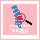 동대문한의원 | 동대문한의원에서 허리통증을 다시 바라보다