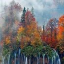 징검다리 이미지