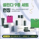 린다 Daum카페