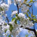 미소짓는한의원 이미지