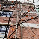 김복동「가을」 이미지