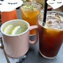 피우리하우스 | 파주 식물카페, 다육이 체험카페 '피우리하우스'