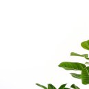 남서울행정사사무소 이미지