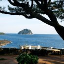 포니하우스 이미지