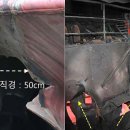이란 공격 판명 땐 ‘피해 당사국’ 되는 한국… 외교 파장 불가피 이미지