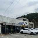 갤러리밥스 | 강릉 강문해변 먹거리 [갤러리밥스] [순두부젤라또] 후기 +블로그 공지⚠️