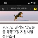 독클래스 이미지