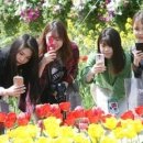 국제문화교류관 야외정원 이미지