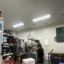 치킨매니아 신곡점 | 의정부 술집 추천 방앗간 차돌삼합 맛집 회식 장소 주차 팁
