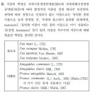 정명 이미지