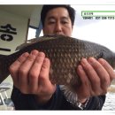 사랑방손님 Daum카페