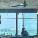 망지의 일상(제주)