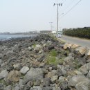 일과리-2 이미지