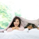 NOBLESSE.PET 이미지