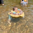 더풍전(주) 이미지