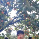 성암초교 병설유치원 이미지