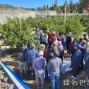 원지 농장 이미지