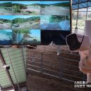 자은태양광발전소 이미지